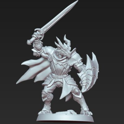 Dragonguard with sword and dragonguard Shield AG
