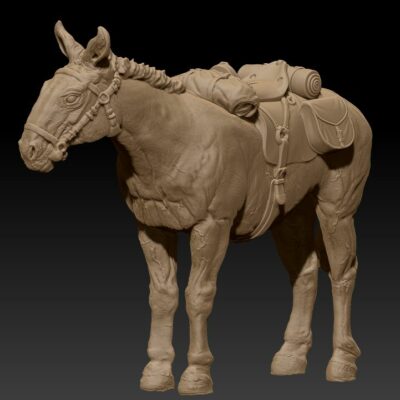 Saddle mule standing